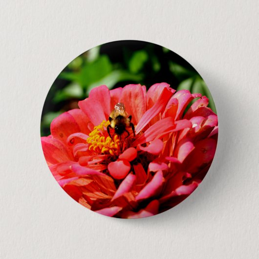Koraalzink met hommel ronde button 5,7 cm (Voorkant)