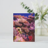 Koral Garden Briefkaart (Staand voorkant)