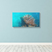 KORAL OP CANVAS 20 "x 16" Afdruk (Insitu (Houten vloer))