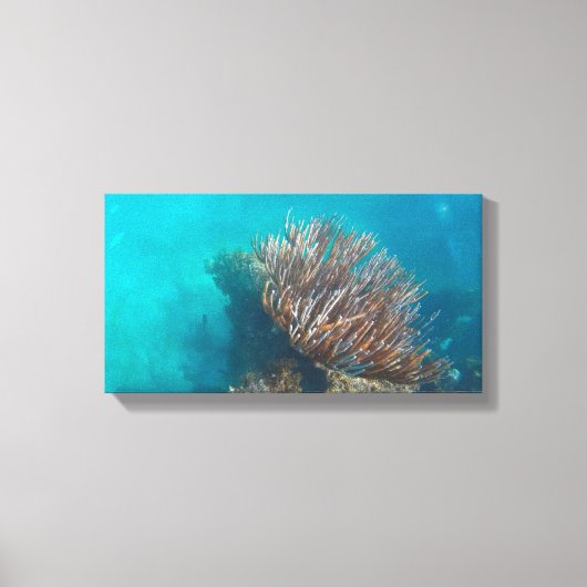 KORAL OP CANVAS 20 "x 16" Afdruk (Voorkant)