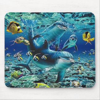 koral_pals_dolphins_1B, Roll Over me Muismat