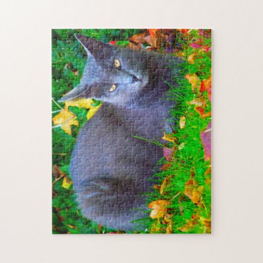 Korat Cats. Legpuzzel (Verticaal)