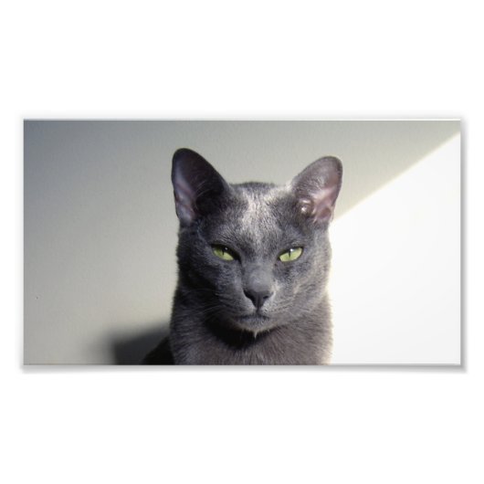 korat foto afdruk (Voorkant)