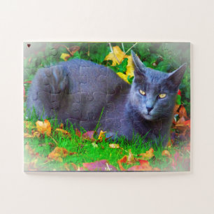 Korat kat legpuzzel