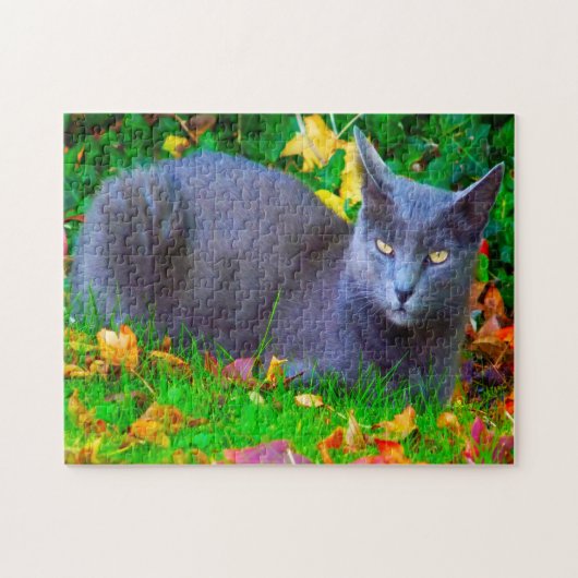 Korat katten. legpuzzel (Horizontaal)