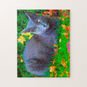 Korat katten. legpuzzel (Verticaal)
