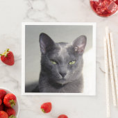 korat servet (Insitu)