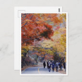 Korea Briefkaart (Voorkant / Achterkant)