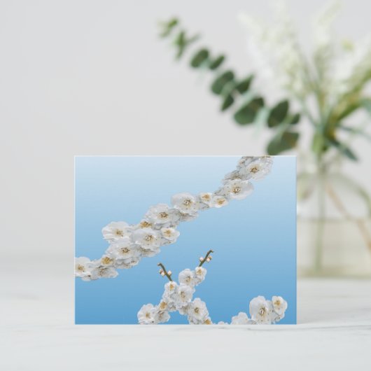 Korea Cherry Blossom White Briefkaart (Staand voorkant)