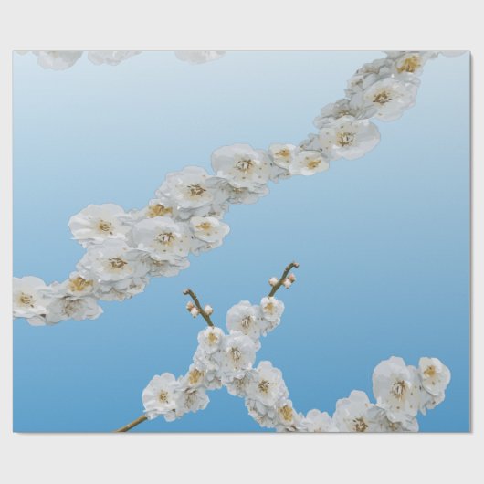 Korea Cherry Blossom White Cadeaupapier (Vlak)