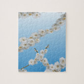 Korea Cherry Blossom White Legpuzzel (Verticaal)