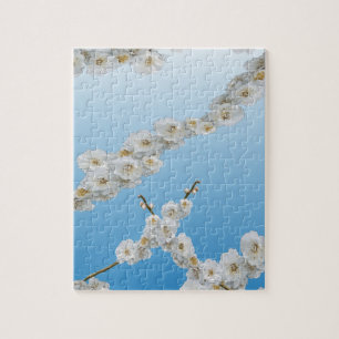 Korea Cherry Blossom White Legpuzzel