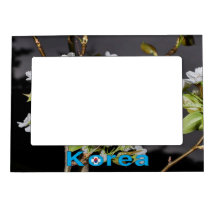 Korea Cherry Blossom White