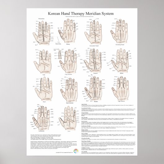 Koreaans handenbandsysteem poster (Voorkant)