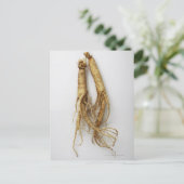 koreaans voedsel , ginseng briefkaart (Staand voorkant)