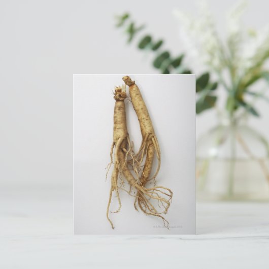 koreaans voedsel , ginseng briefkaart (Staand voorkant)