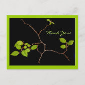 Koreaanse Hornbeam bonsai bedankt Briefkaart (Voorkant)