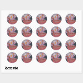 Koreaanse schildpad ronde sticker (Vel)
