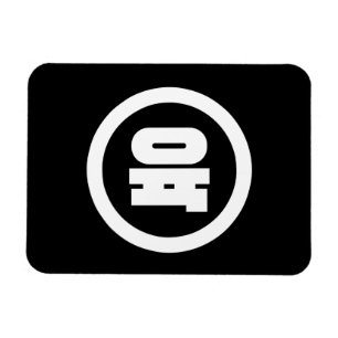 Koreaanse Sino Nummer 6 Zes 육 【Yuk】 Hangul Magneet