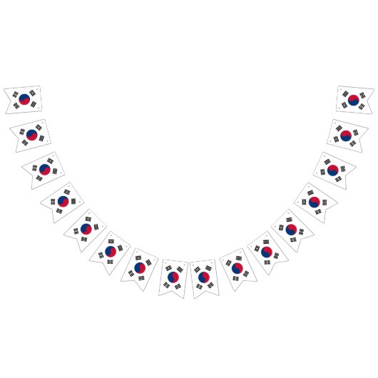 Koreaanse vlag en Zuid-Korea Banners/bruiloften Vlaggetjes (Alle)