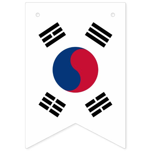 Koreaanse vlag en Zuid-Korea Banners/bruiloften Vlaggetjes (Eerste vlag)