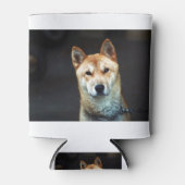 Korean Jindo Dog Blikjeskoeler (Voorkant)