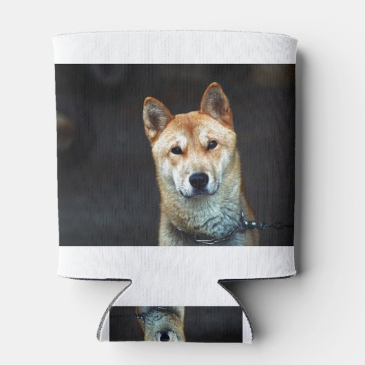 Korean Jindo Dog Blikjeskoeler (Achterkant)