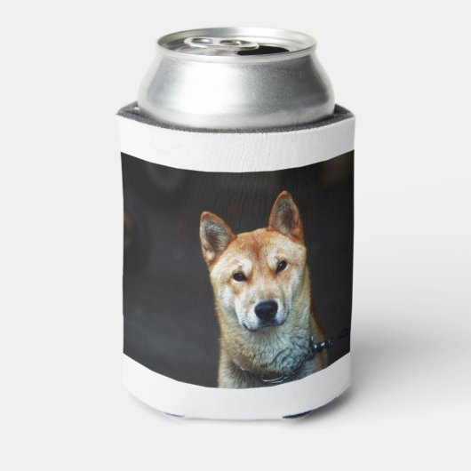 Korean Jindo Dog Blikjeskoeler (Blikje Achterkant)