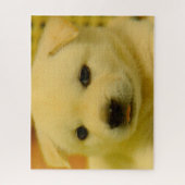 Korean Jindo Dog. Legpuzzel (Verticaal)