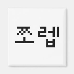 Korean Newb 쪼 렙 Jjoleb   Hangul Language Magneet