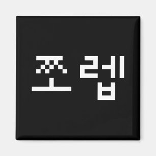 Korean Newb 쪼 렙 Jjoleb   Hangul Language Magneet