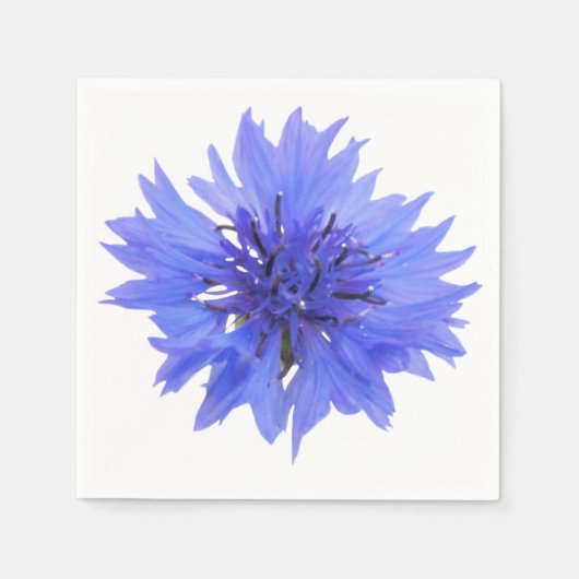 korenbloem blauw servet (Voorkant)