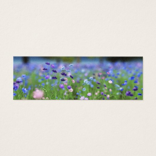 Korenbloem Blauwe Bladwijzer Mini Visitekaartjes (Voorkant)
