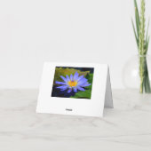 Korenbloem Blauwe Grote Waterlelie Notitiekaarten (Achterkant)