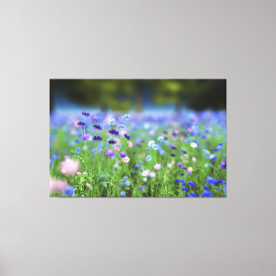 Korenbloem Blauwe Ingepakte Canvas Afdruk