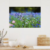 Korenbloem Blauwe Print (Keuken)
