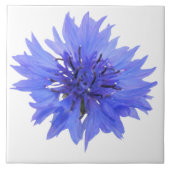 korenbloem blauwe tegel tegeltje (Voorkant)