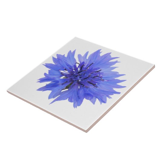 korenbloem blauwe tegel tegeltje (Zijkant)