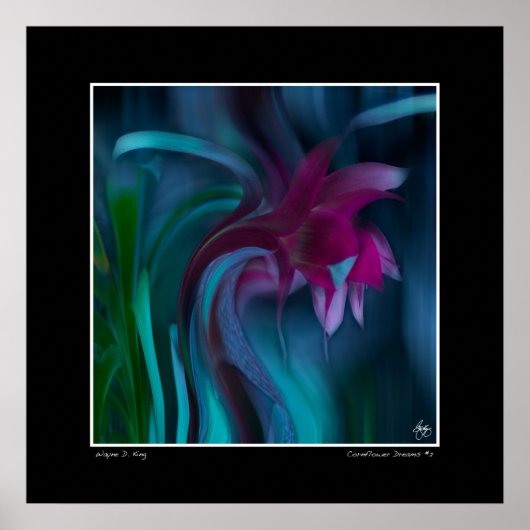 Korenbloem Dromen #2 Poster (Voorkant)