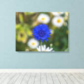 Korenbloem op dicht canvas print (Insitu (Houten vloer))