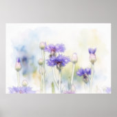 Korenbloem Waterverf Stijl Kunstprint Poster (Voorkant)