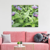 Korenbloemen Canvasprint Canvas Afdruk (Insitu (Woonkamer))