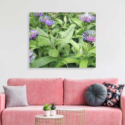 Korenbloemen Canvasprint Canvas Afdruk (Insitu (Woonkamer))