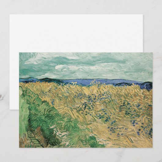 Korenveld met korenbloemen | Vincent van Gogh (Voorkant / Achterkant)