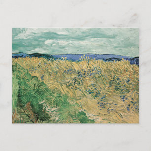 Korenveld met korenbloemen   Vincent van Gogh Briefkaart