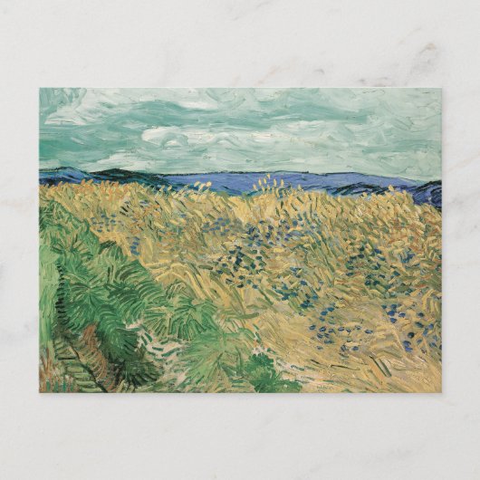 Korenveld met korenbloemen | Vincent van Gogh Briefkaart (Voorkant)