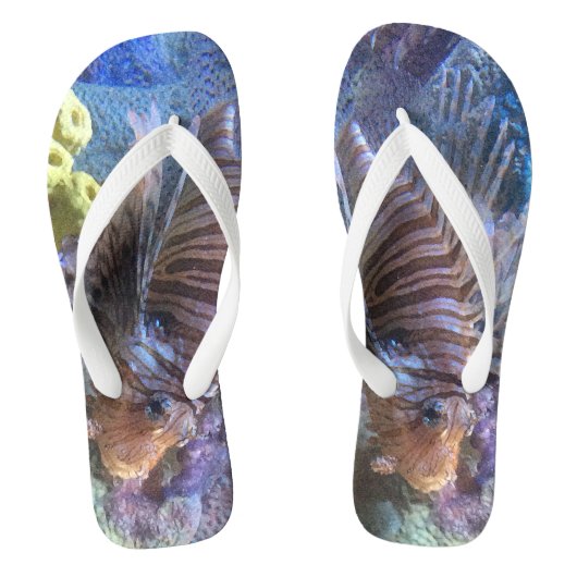 Korenvis Teenslippers (Voetbed)