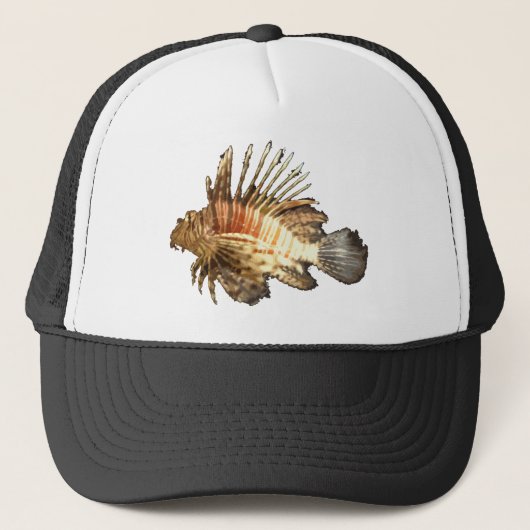 Korenvis Trucker Pet (Voorkant)