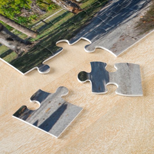 Koreshan State Park Florida. Legpuzzel (Zijkant)