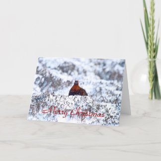 Korhoen in een sneeuwstorm Vrolijke kerst Kaart